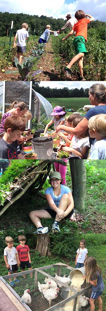 Maryland Farm Camp